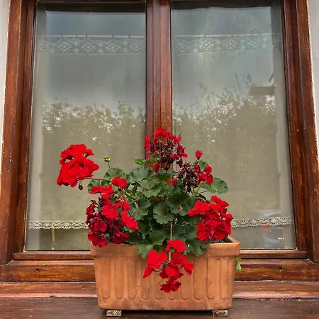 Kostegi Фермерский дом