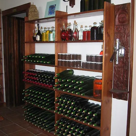 Kostegi * Урньета