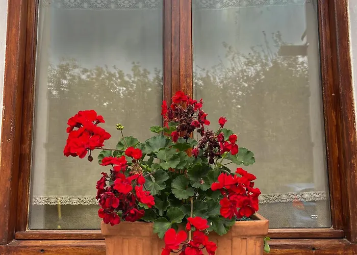 Kostegi Κατάλυμα σε φάρμα