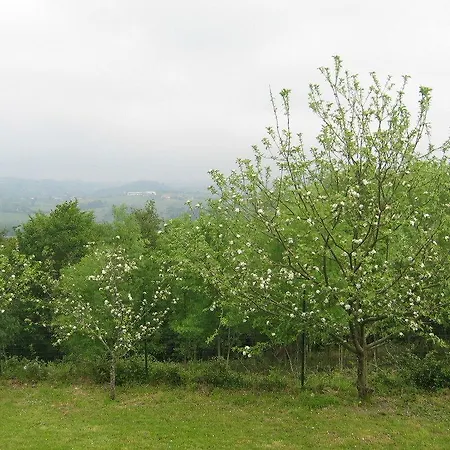 Farm stay Kostegi