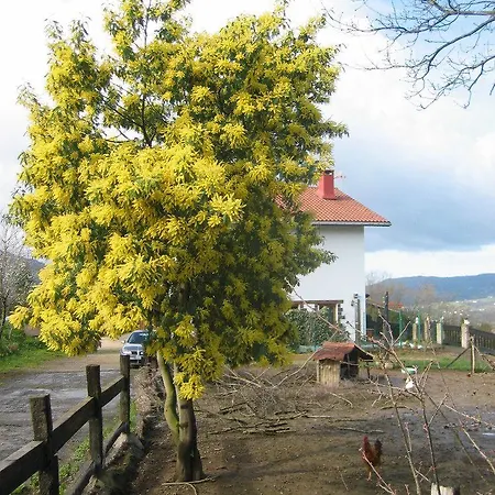 Kostegi